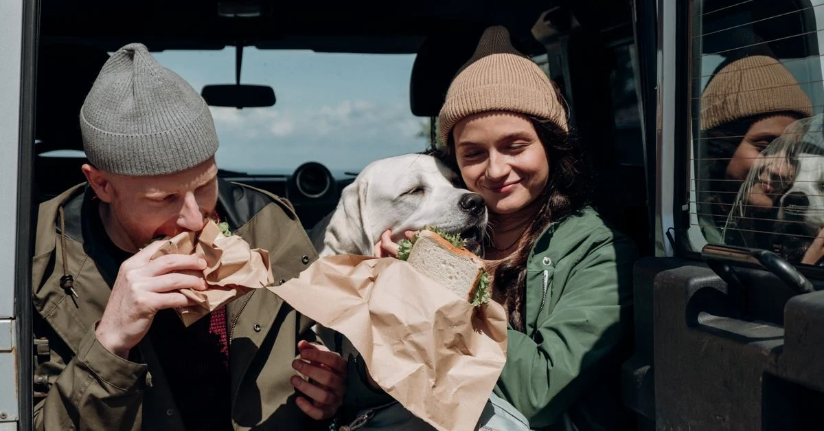 Un couple partageant des sandwiches avec leur chien à l'intérieur d'une camionnette garée, profitant d'un pique-nique en plein air.