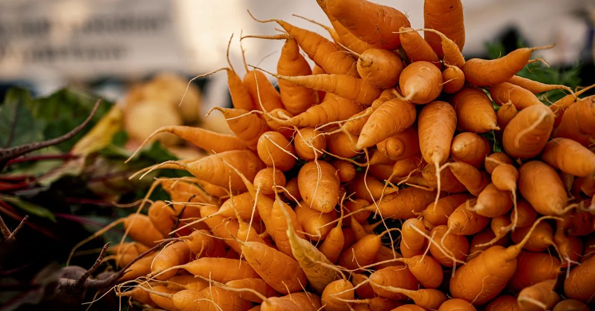 Une présentation vibrante de carottes héritage fraîches au marché fermier, mettant en avant des produits naturels et biologiques.